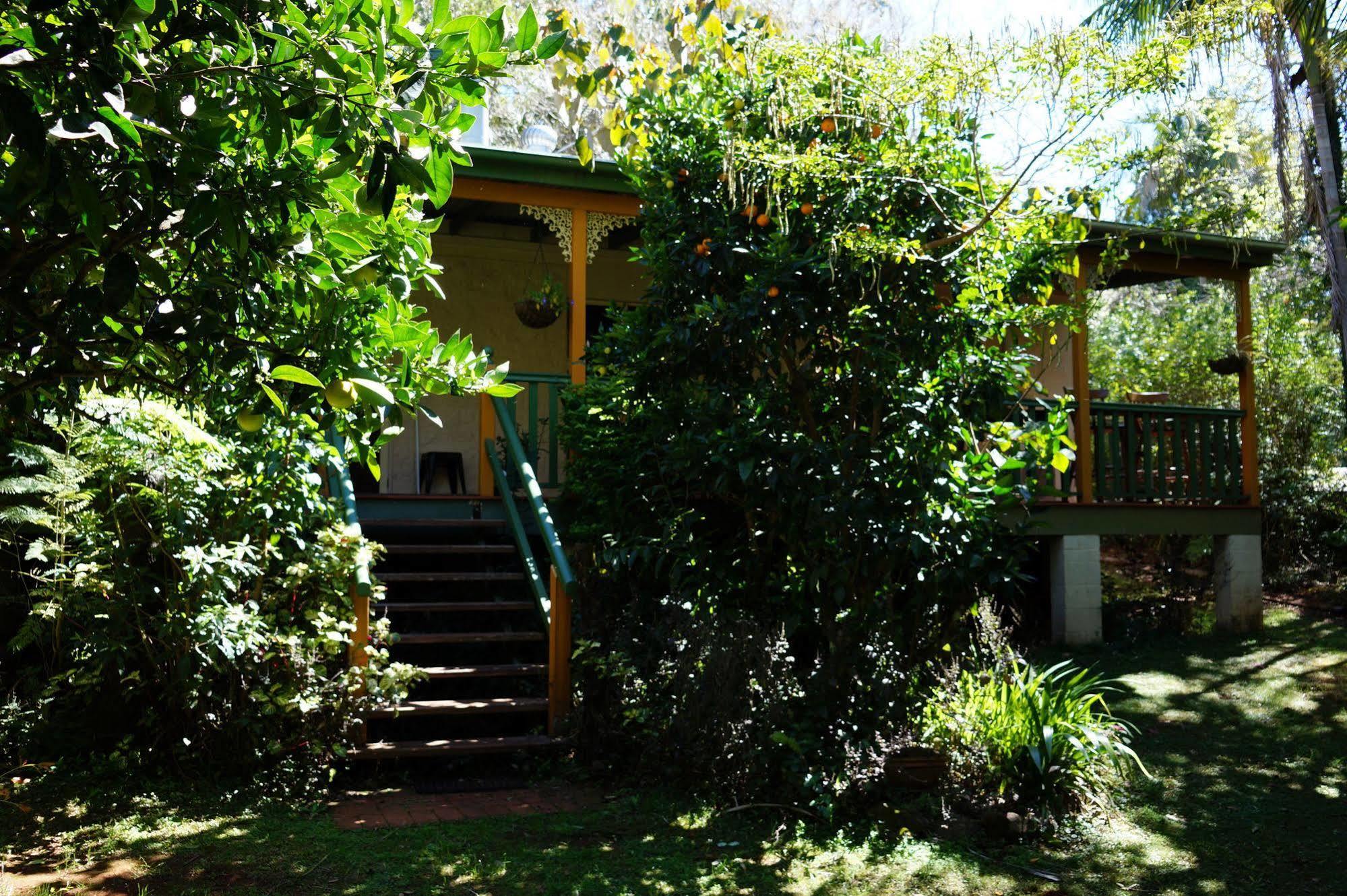 Kidd Street Cottages Mount Tamborine Exterior foto